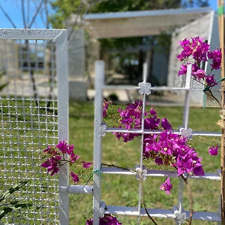 Tenuta La Monaca Agroturismo *