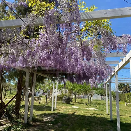 Agroturismo Tenuta La Monaca Aradeo