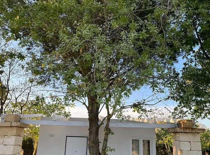 Tenuta La Monaca